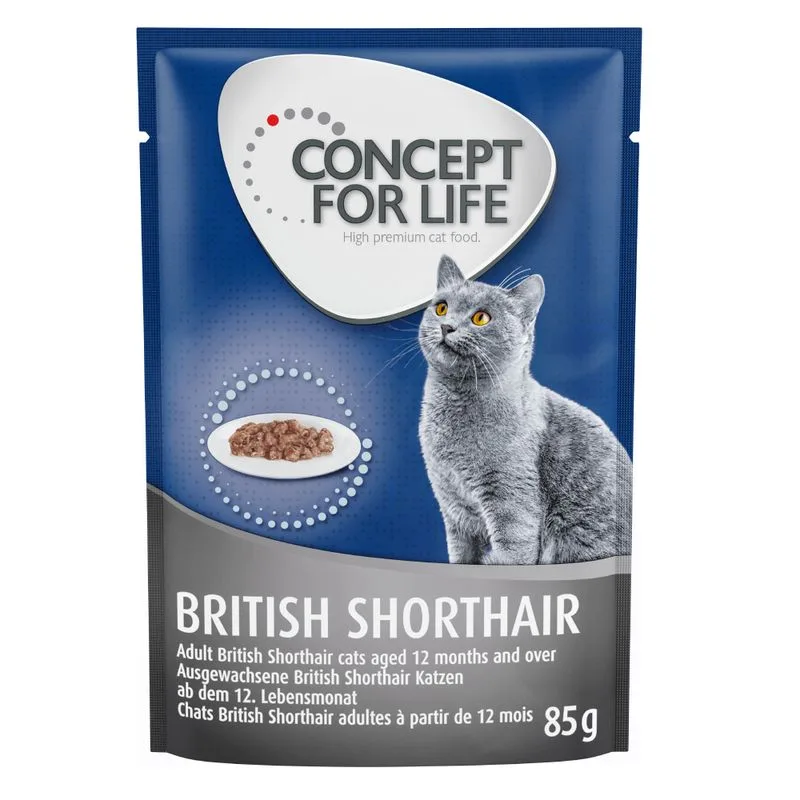 Concept for Life British Shorthair Adult - ricetta migliorata! (umido a completamento: 12 x 85 g Concept for Life British Shorthair Adult)