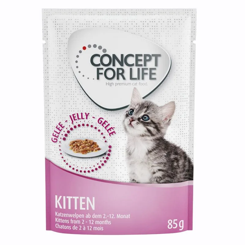 Concept for Life Kitten - ricetta migliorata! (umido a completamento: 12 x 85 g Concept for Life Kitten in Gelatina)