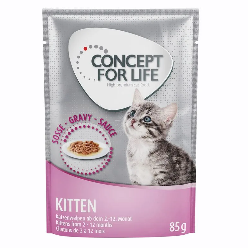 Concept for Life Kitten - ricetta migliorata! (umido a completamento: 12 x 85 g Concept for Life Kitten in Salsa)
