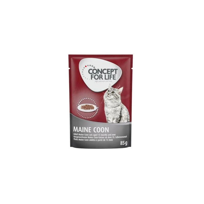 Concept for Life Maine Coon Adult (umido a completamento: 12 x 85 g Concept for Life Maine Coon Adult)