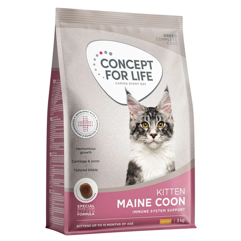 Concept for Life Maine Coon Kitten (3 kg NUOVO!)