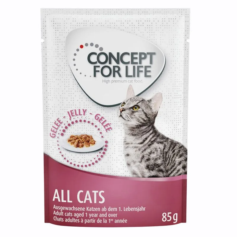 Concept for Life Outdoor Cats - ricetta migliorata! (umido a completamento: 12 x 85 g Concept for Life All Cats in Gelatina)