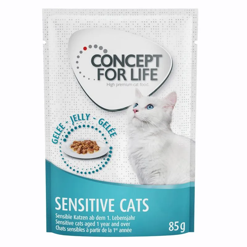 Concept for Life Sensitive Cats (umido a completamento: 12 x 85 g Concept for Life Sensitive Cats in Gelatina)