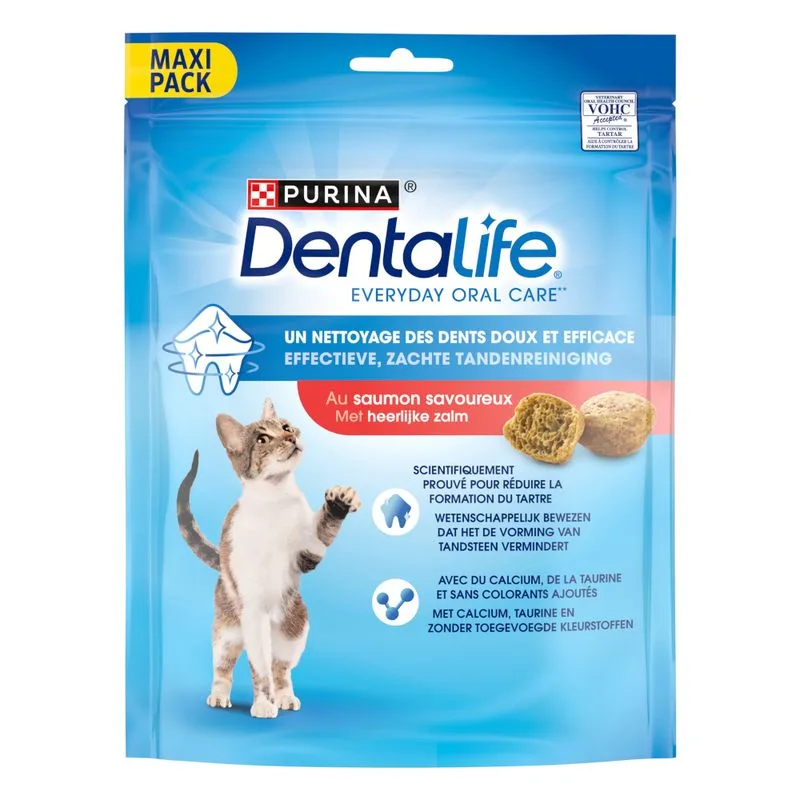 PURINA Dentalife Snack per gatto (Set: 2 x 140 g con Salmone)