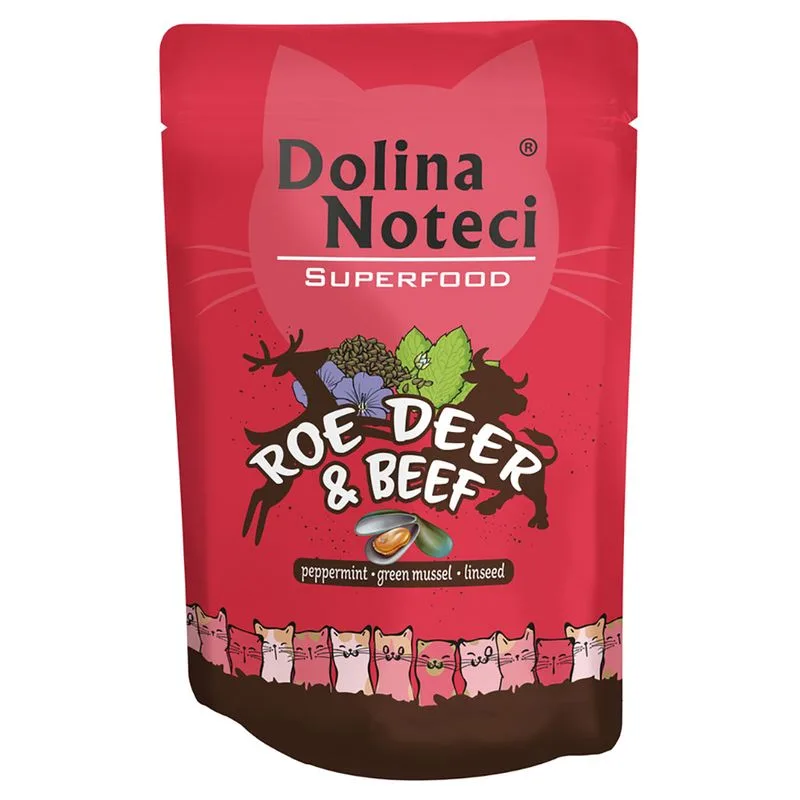 Dolina Noteci Superfood 20 x 85 g