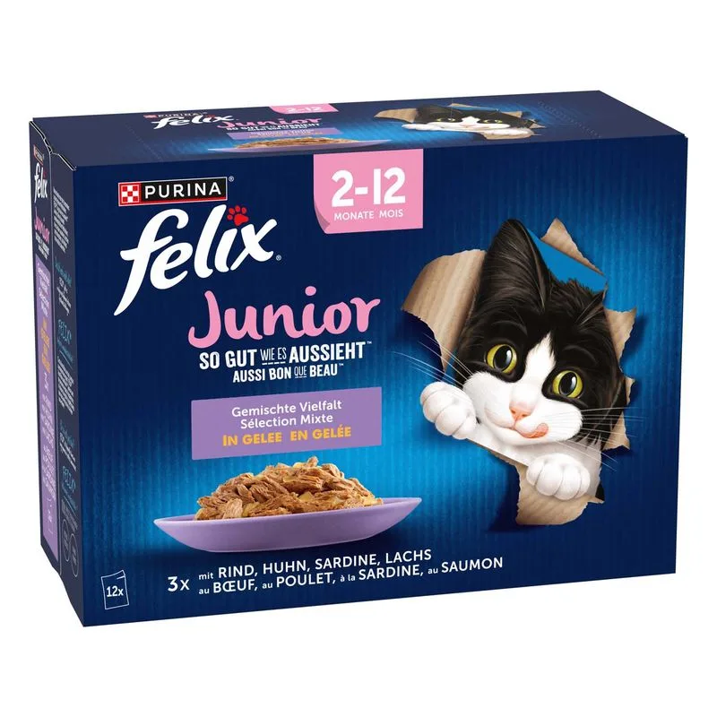 Felix Le Ghiottonerie Junior in gelatina