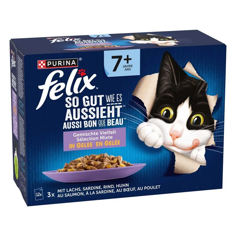 Felix Le Ghiottonerie Senior in gelatina (Set %: 48 x 85 g)