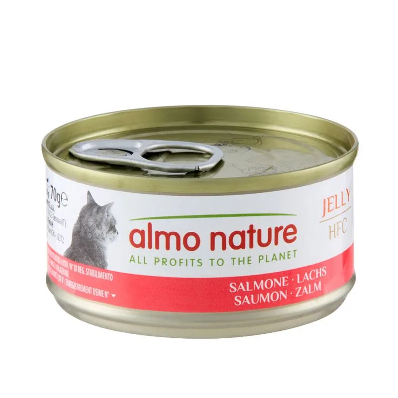 Almo Nature HFC Natural 6 x 70 g (HFC Salmone in gelatina)