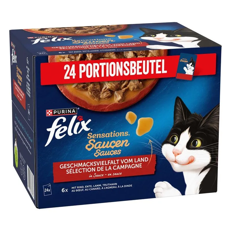 Felix Sensations in Salsa 24 x 85 g
