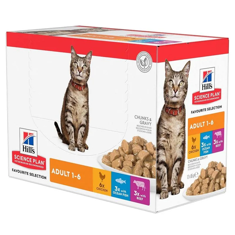 Hill's Science Plan Adult Agnello & Riso (integrazione: 12 x 85 g Hill's Science Plan Adult Selezione di Pesce)