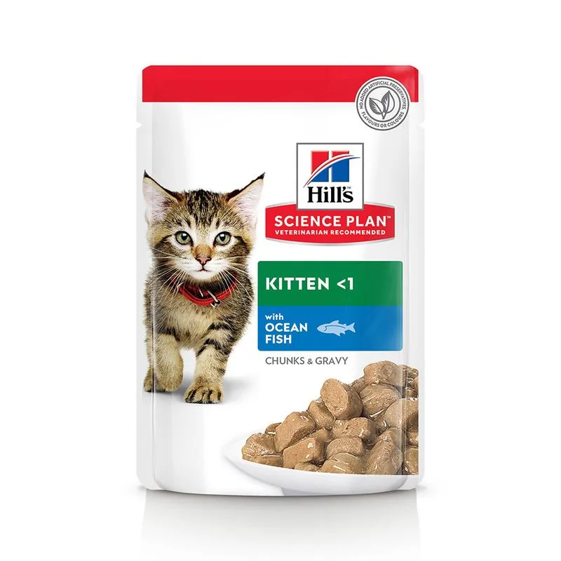 Hill's Science Plan Kitten (Set %: 48 x 85 g Pesce oceanico)