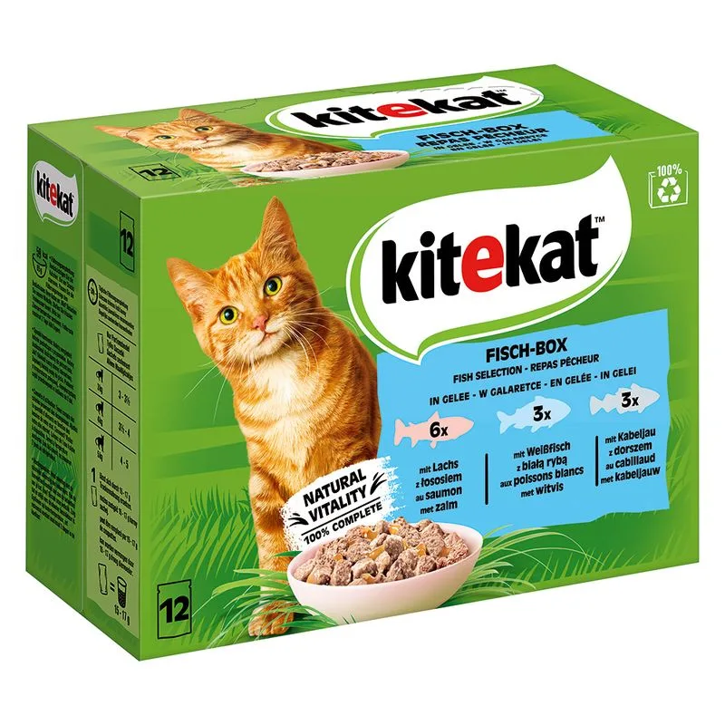 Kitekat in buste 48 x 85 g Umido per gatto (Box di pesce in Gelatina)