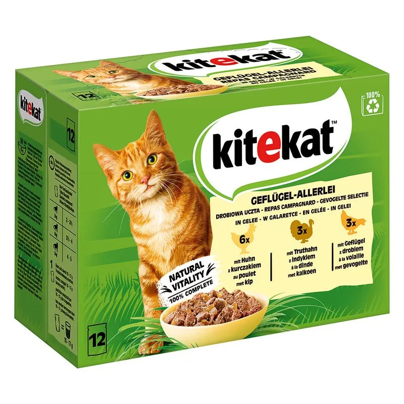 Kitekat in buste 48 x 85 g Umido per gatto (Pollame in Gelatina)