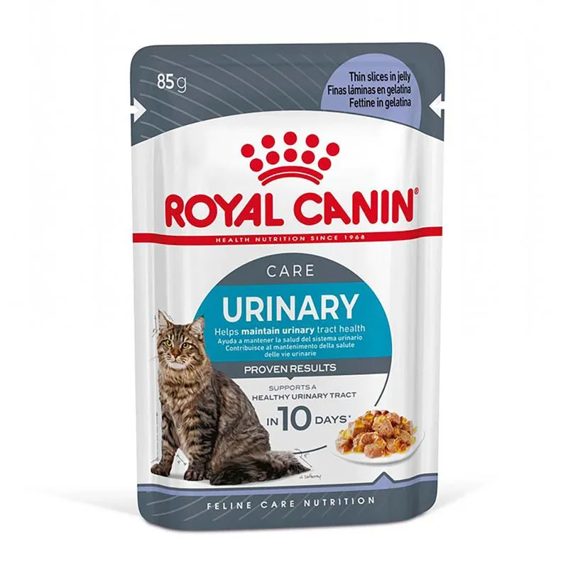 Royal Canin FCN Urinary Care umido in Gelatina per gatti (Set %: 48 x 85 g)