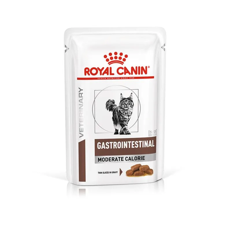 Royal Canin Gastrointestinal Moderate Calorie Feline Veterinary umido gatto (Set %: 48 x 85 g)