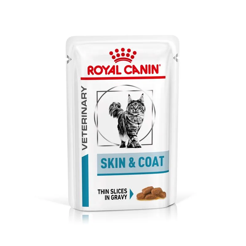 Royal Canin Skin & Coat Feline Veterinary umido gatto (Set %: 48 x 85 g)