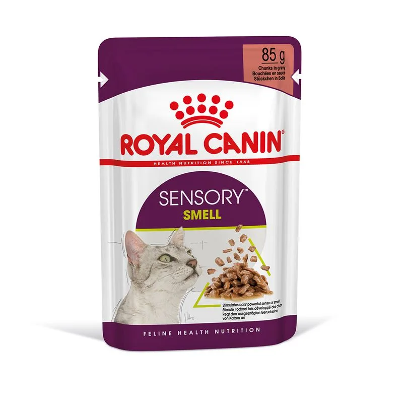 Royal Canin Sensory Smell umido in Salsa per gatti (Set %: 96 x 85 g)