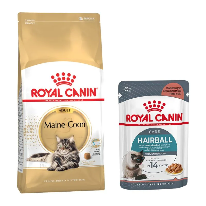Set prova misto! Royal Canin Feline secco + umido (4 kg Maine Coon Adult + 24 x 85 g Hairball Care in Salsa)