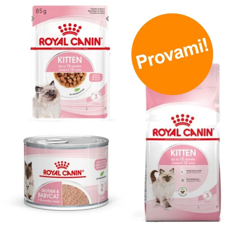 Set prova misto! Royal Canin Kitten secco + umido (2 kg crocchette Kitten Sterilised + 12 x 85 g umido Kitten Sterilised in Salsa)