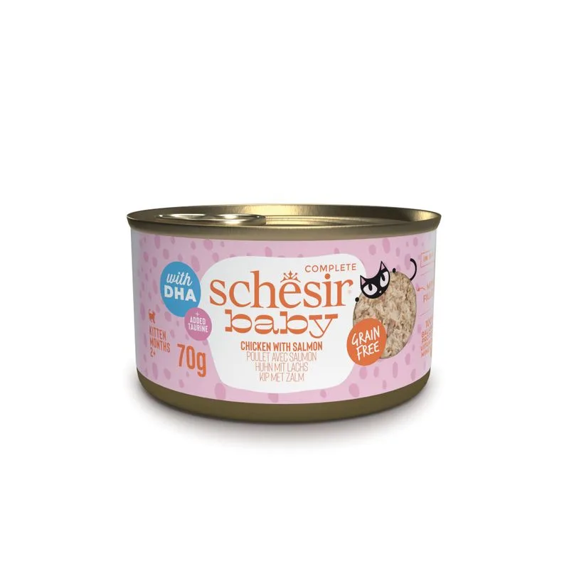 Schesir Baby 12 x 70 g Umido per gattini (Filettini di pollo con salmone)