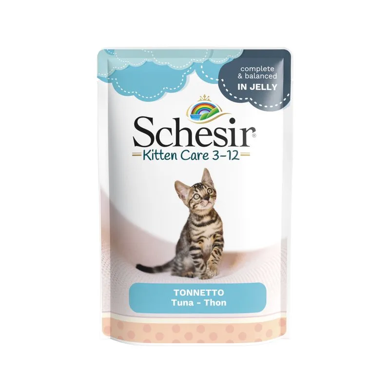 Schesir Buste 24 x 85 g (Kitten Tonnetto)