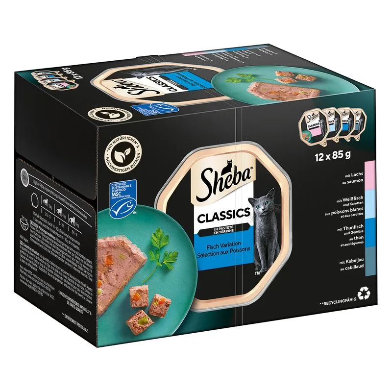 Pacco scorta: Sheba Vaschette 144 x 85 g Alimento umido per gatti