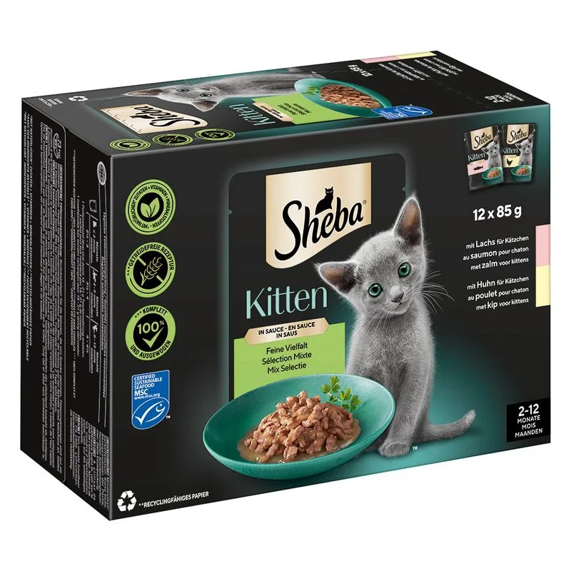 Sheba Kitten Variazioni Buste 12 x 85 g Umido per gatto