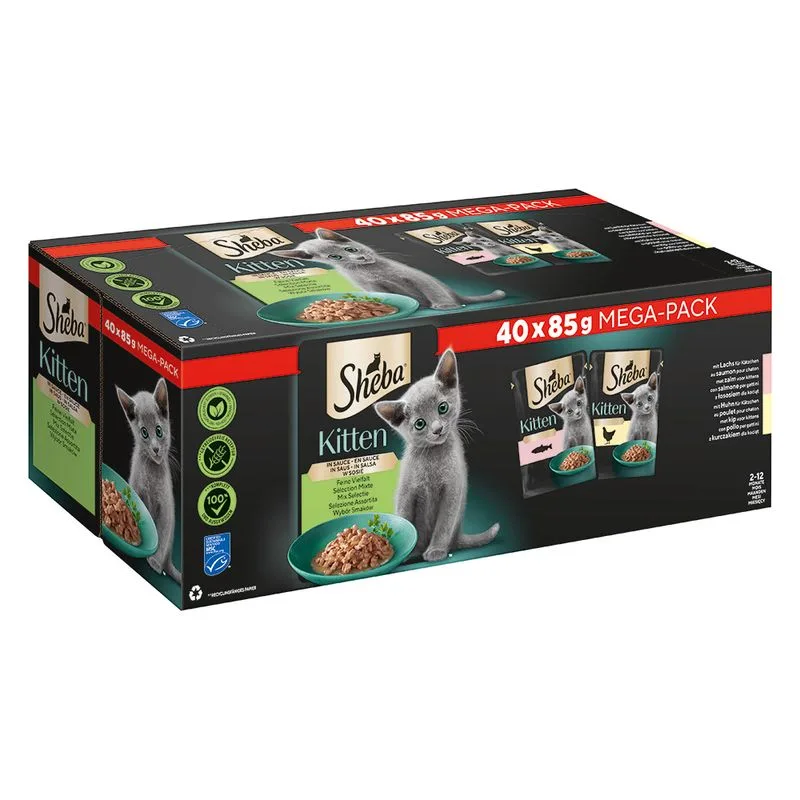 Sheba Kitten Variazioni in Salsa Buste 80 x 85 g