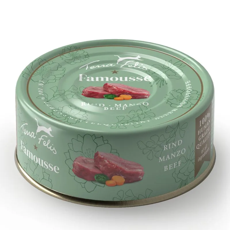 Terra Felis Famousse 12 x 80 g (Manzo)