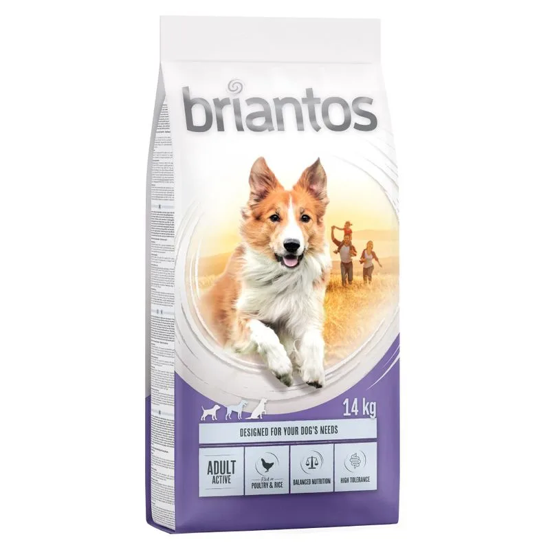 Briantos Adult Active Crocchette per cane (Set %: 2 x 14 kg)