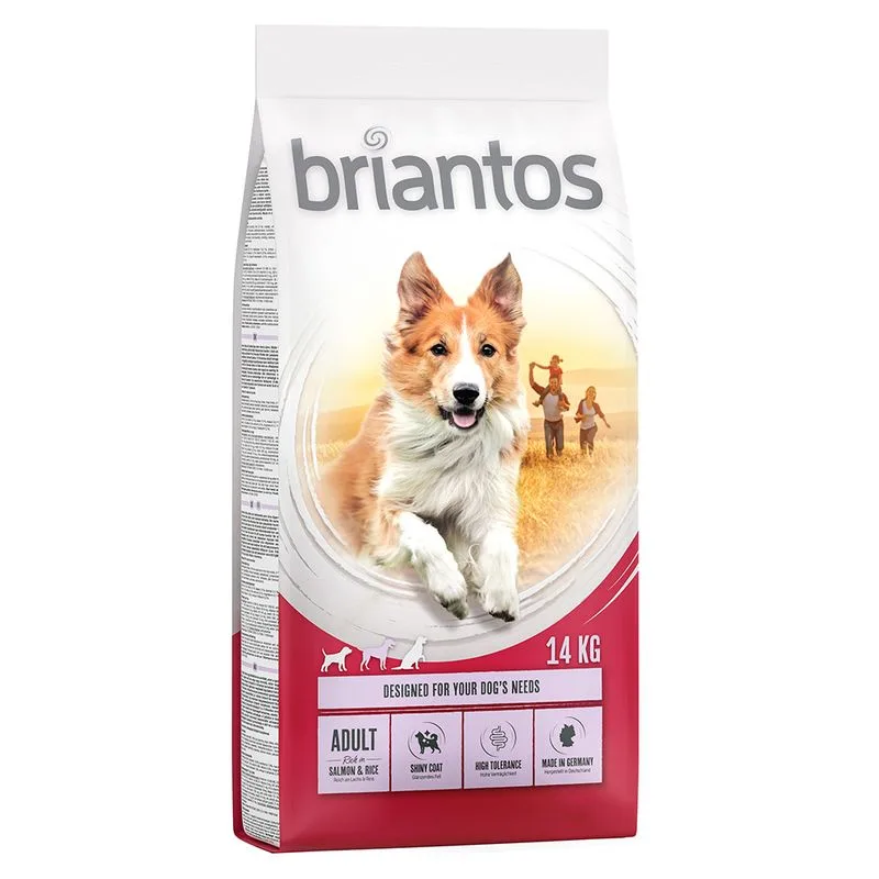 Briantos Adult Salmone & Riso Crocchette per cane (Set %: 2 x 14 kg)