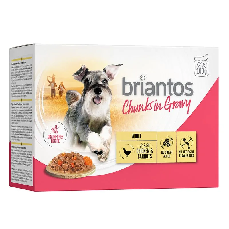 Briantos Chunks in Gravy 48 x 100 g Umido per cane (Pollo e Carote)