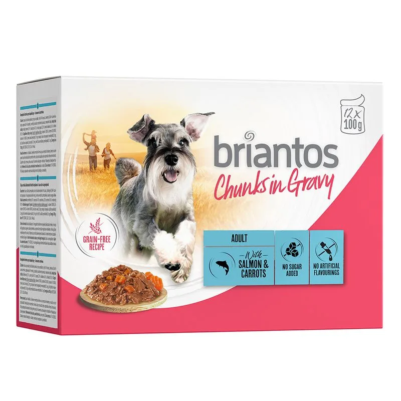 Briantos Chunks in Gravy 48 x 100 g Umido per cane (Salmone e Carote)