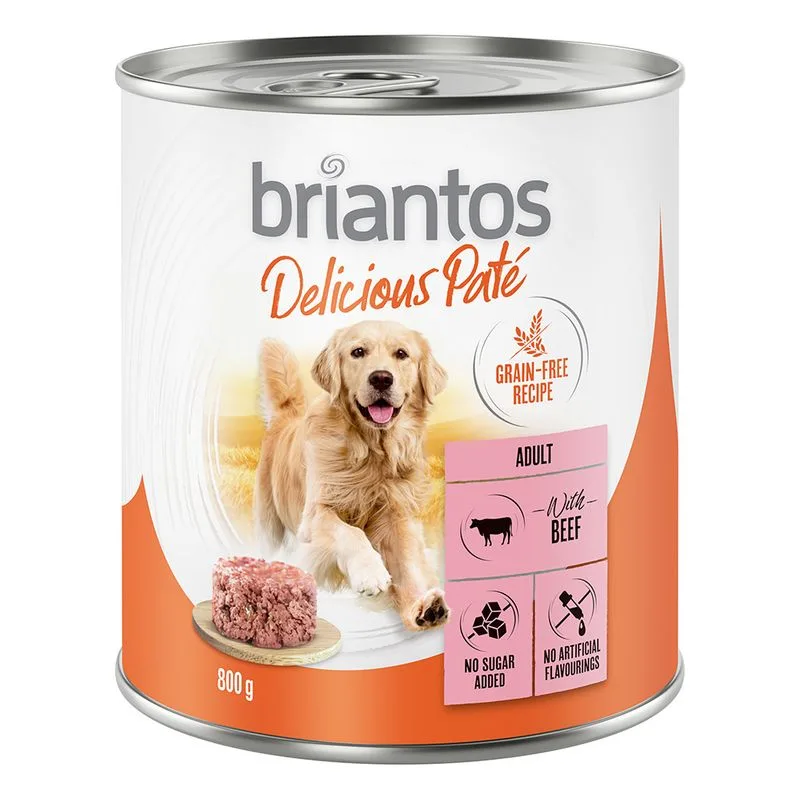 Briantos Delicious Paté 24 x 800 g Umido per cane (Manzo)