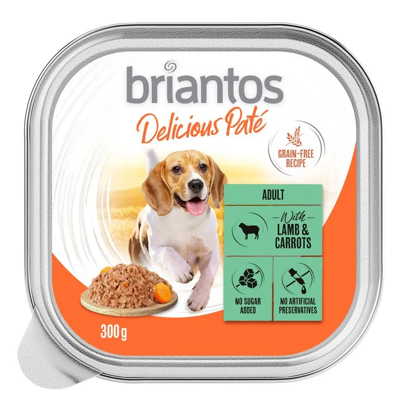 Briantos Delicious Paté 27 x 300 g Umido per cane (Agnello e carote)