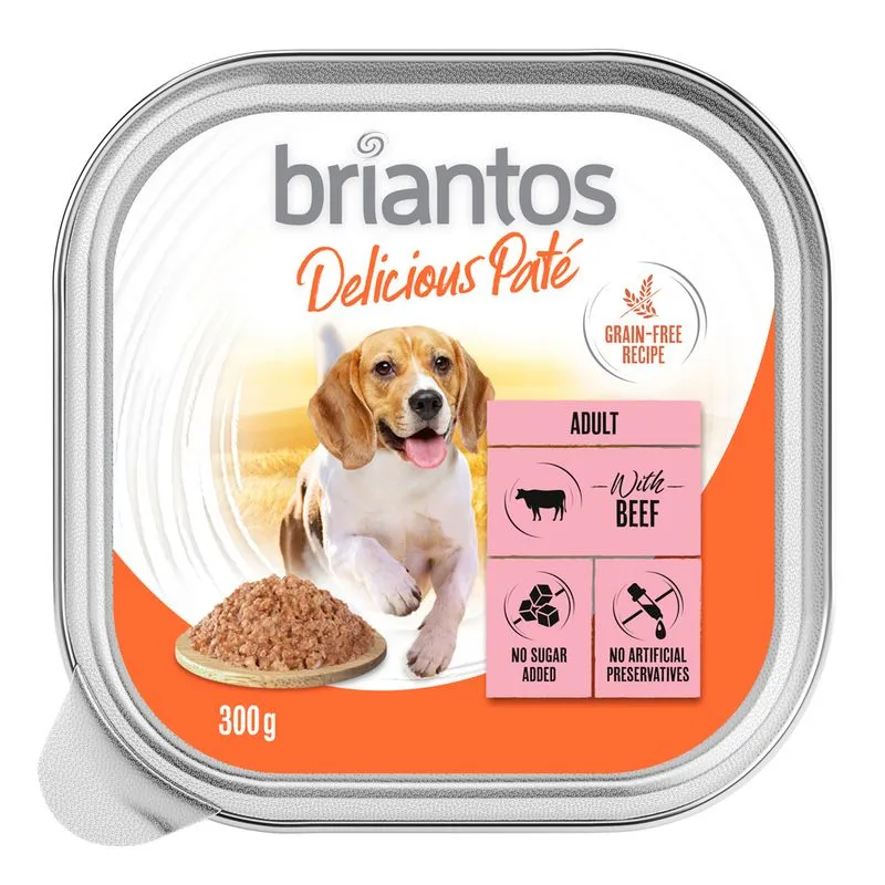 Briantos Delicious Paté 27 x 300 g Umido per cane (Manzo)