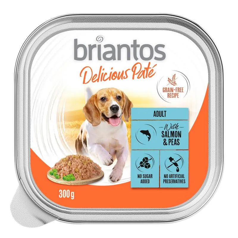 Briantos Delicious Paté 27 x 300 g Umido per cane (Pesce e piselli)