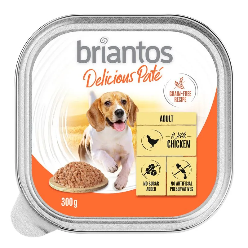 Briantos Delicious Paté 27 x 300 g Umido per cane (Tacchino)
