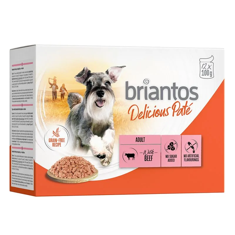 Briantos Delicious Paté 48 x 100 g Umido per cane (Manzo)