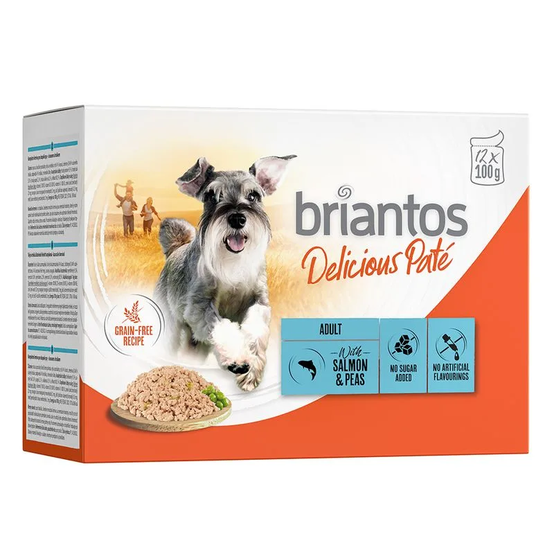 Briantos Delicious Paté 48 x 100 g Umido per cane (Salmone)