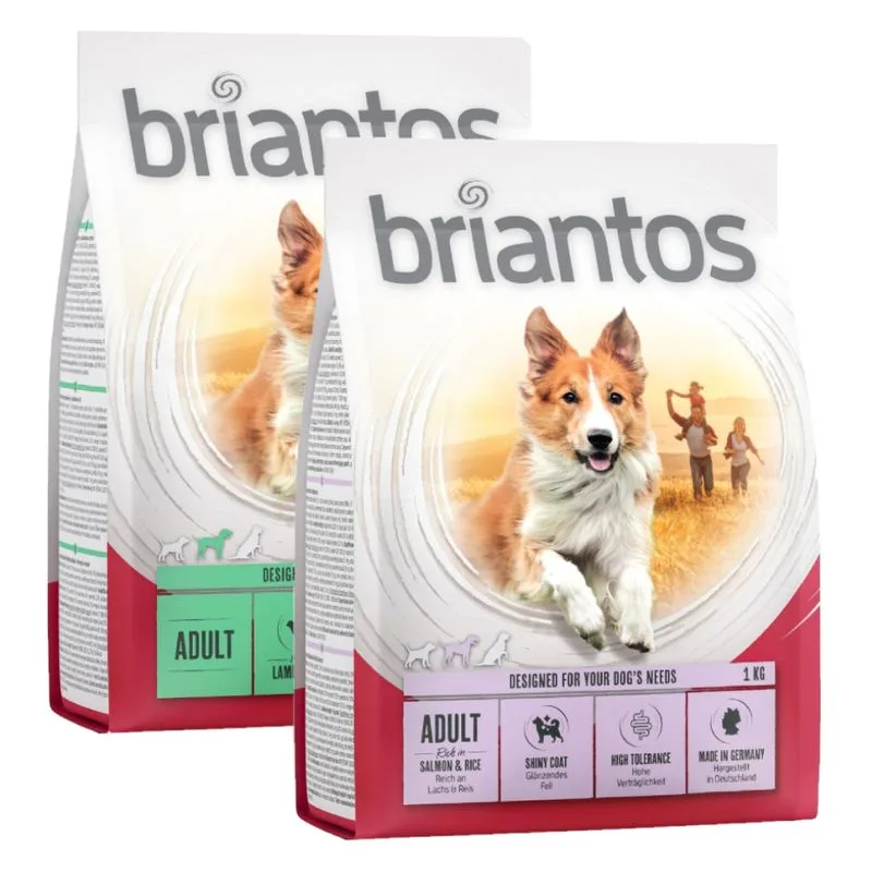 Set prova misto! 2 x 1 kg Briantos Crocchette senza cereali per cani (1 kg Agnello & Riso + 1 kg Salmone & Riso)