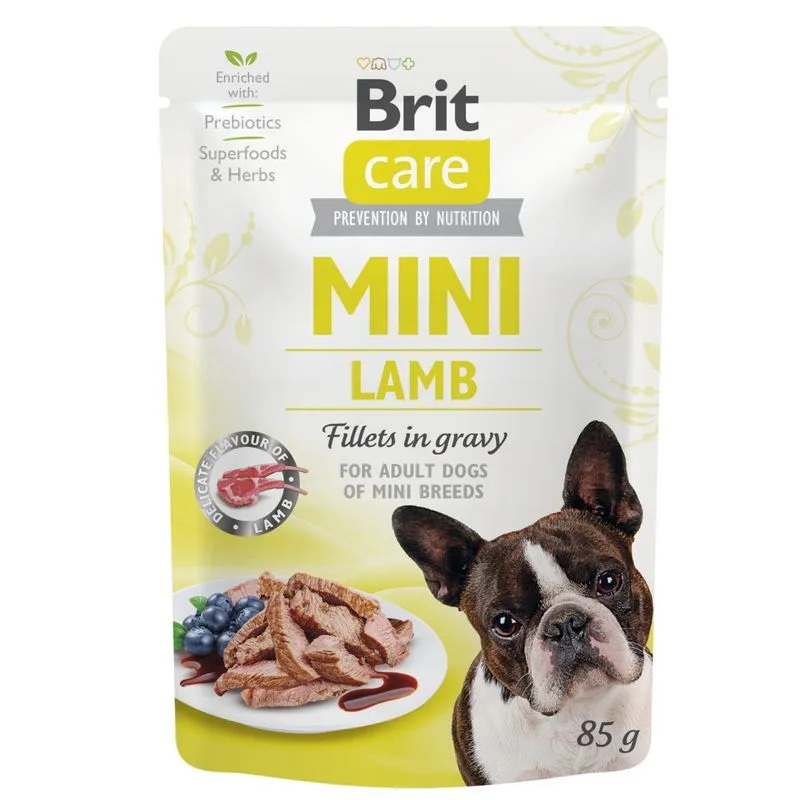 Brit Care Mini in Salsa 48 x 85 g