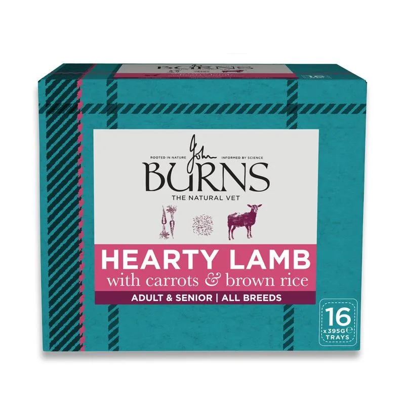 Burns Umido per cani 16 x 395 g (Agnello)
