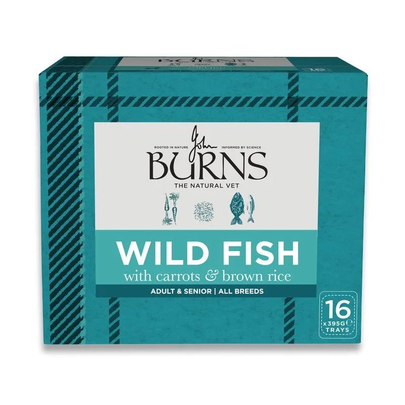 Burns Umido per cani 16 x 395 g (Pesce)