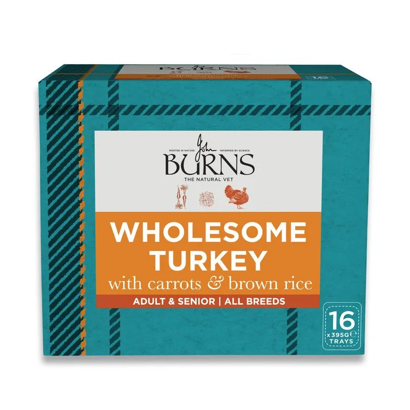 Burns Umido per cani 16 x 395 g (Tacchino)