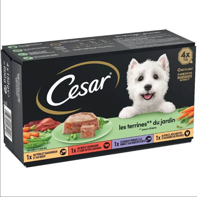 Cesar Ricette Classiche Umido per cane (4 x 150 g Selezione di campagna)