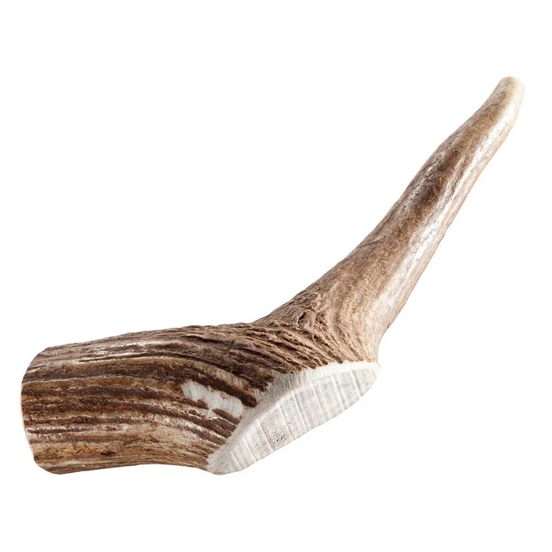 Corna di cervo nobile Chewies (Set %: 2 x M)