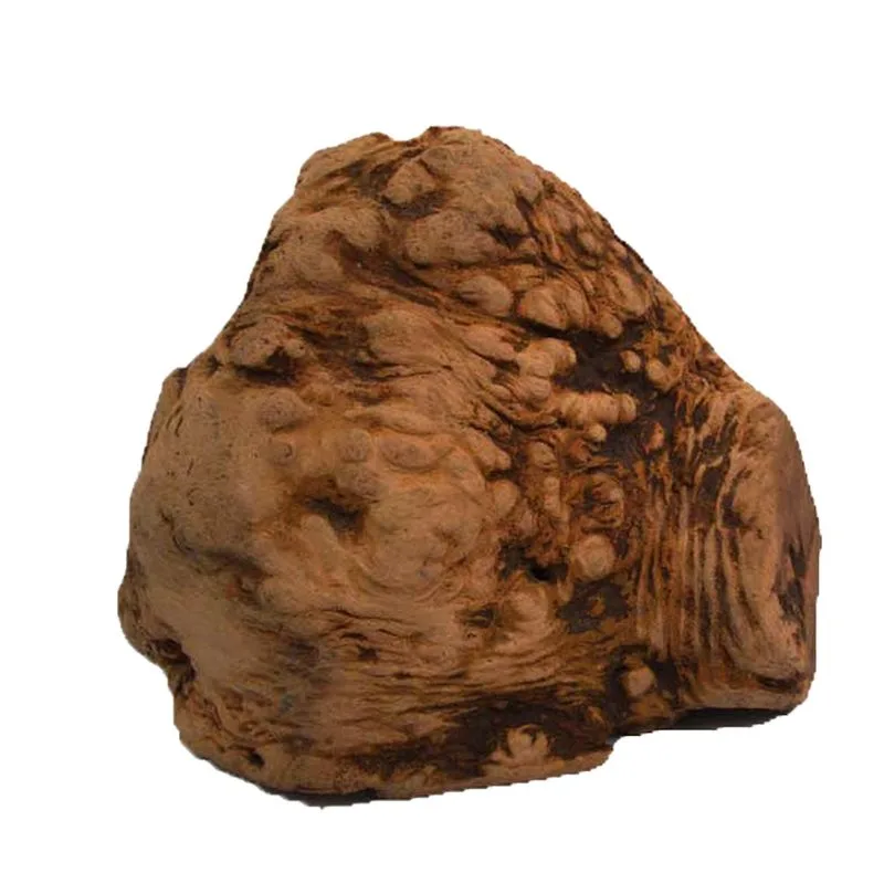 Radice da masticare Chewies (L - 2 pz - prezzo top!)