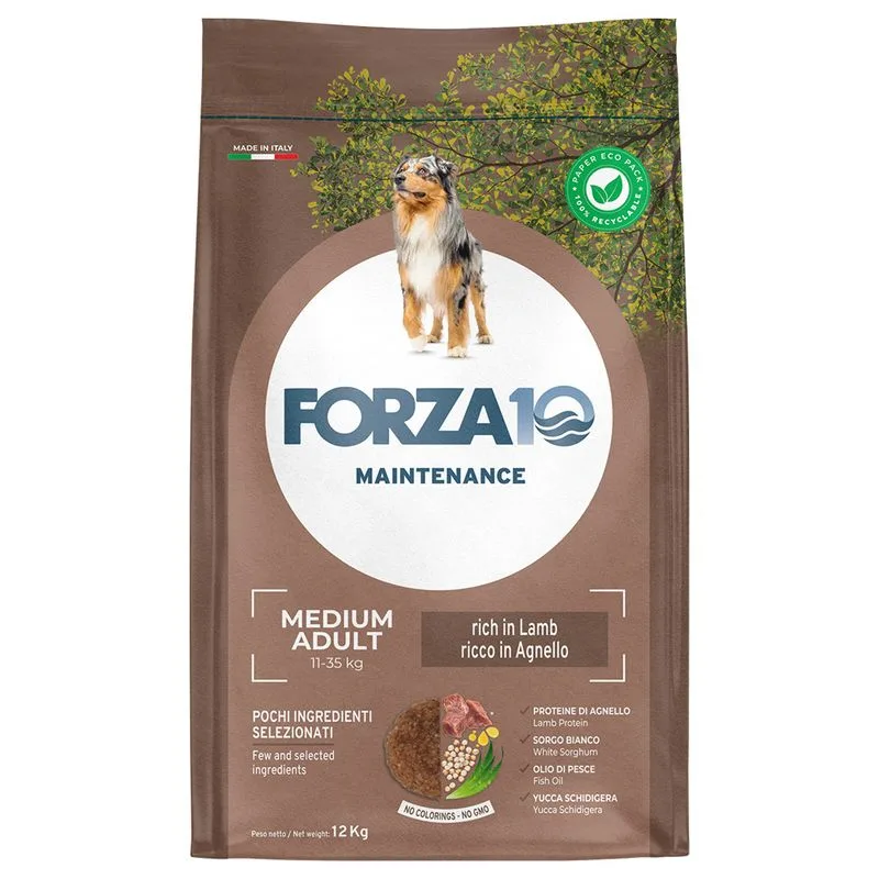 Multipack risparmio! 2 x Forza10 Maintenance Dog Crocchette cane (2 x 12 kg Medium Adult Agnello e Riso)