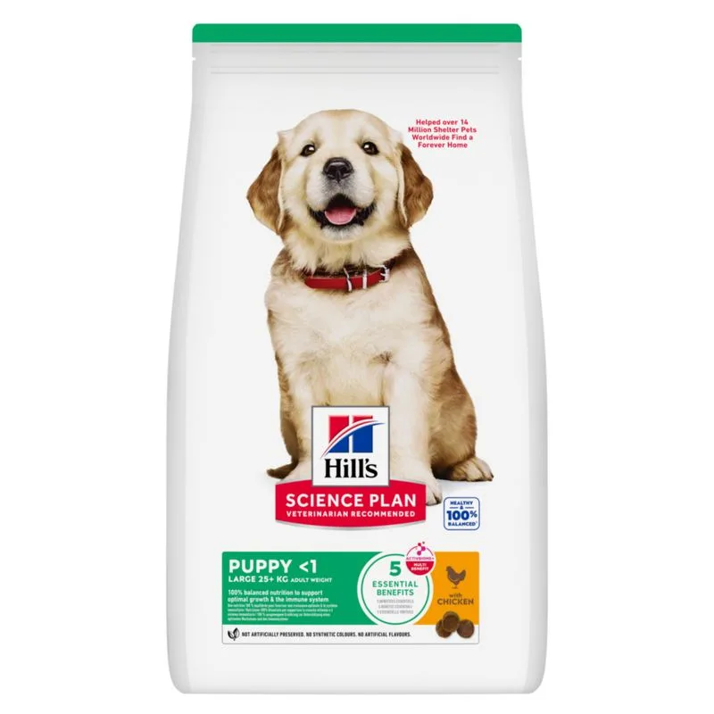 Hill's Science Plan Puppy <1 Large con Pollo (6 kg)